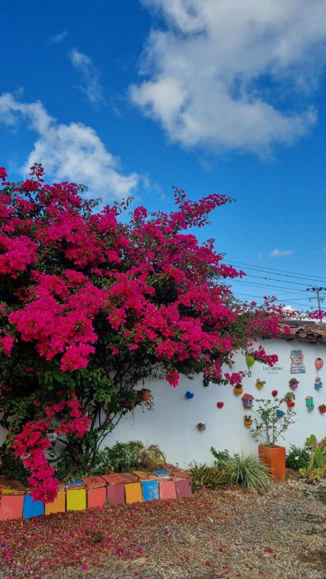 La Casona Espacio Bonito ซาปาโตกา ภายนอก รูปภาพ